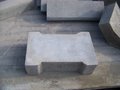 Placa carobasila tip piscot